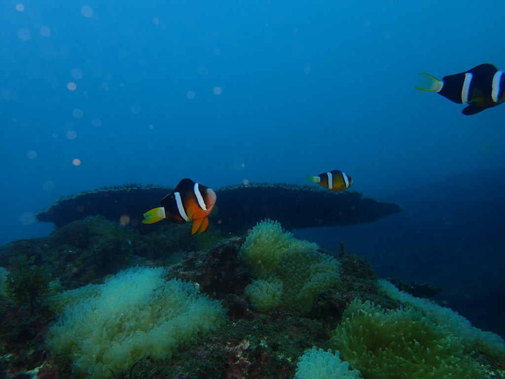 みなべツアー写真