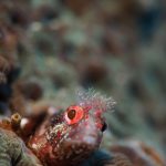 臨時休業のお知らせ