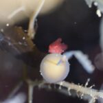 2023年4月1日リサーチダイブ