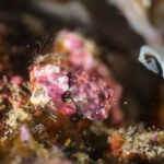 2023年4月17日リサーチダイブ