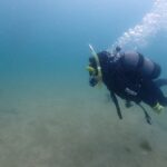 2023年6月7日8日ステップアップコース