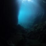 2023年7月7日冠島リサーチダイブ