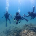 2023年8月13日音海ファンダイブツアー