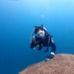 2023年8月23日みなべツアー