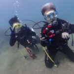 2023年9月23日音海体験ダイビング