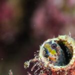 秋冬期営業期間のお知らせ