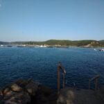 2023年11月24日須江リサーチダイブ