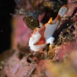 2024年1月31日串本イントラ会