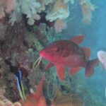 2024年2月28日串本イントラ会