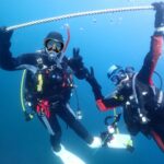 2024年2月11日みなべツアー