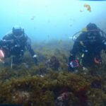 2024年3月23日須江ツアー