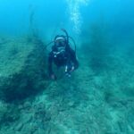 2024年7月29日音海ツアー