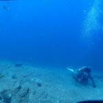 2024年8月15日みなべツアー