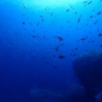 2024年8月20日アサグリ リサーチダイブ