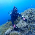 2024年8月22日音海ツアー