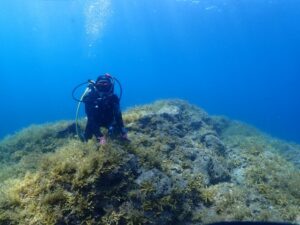 2024年9月13日音海ツアー