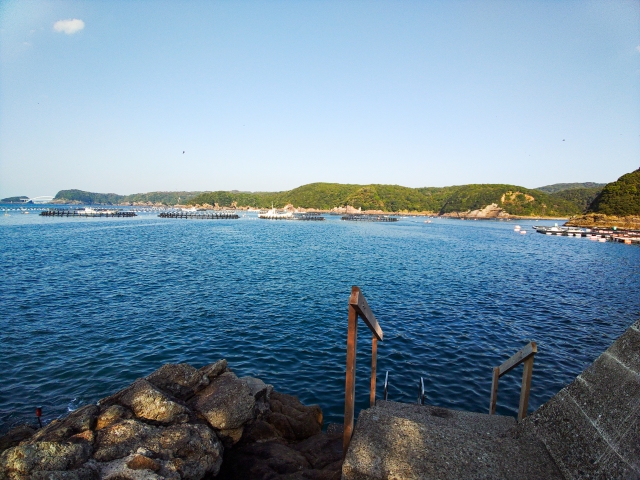 内浦ビーチのエントリー場所