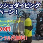 リフレッシュダイビングキャンペーン