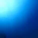 2025年8月27日ダイビングログ