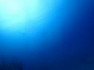 2025年8月27日ダイビングログ