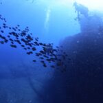 2025年8月27日アサグリリサーチダイブ