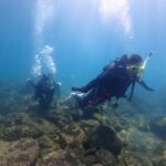 2025年8月30日音海体験ダイビングコース