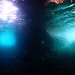 2025年8月31日ダイビングログ