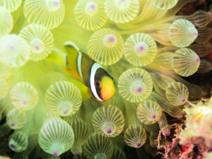 2025年 年末のご挨拶