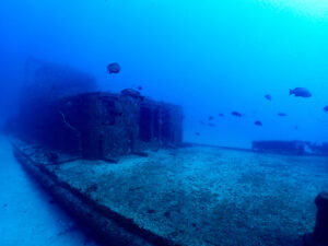 【開催決定】残席２名：【和歌山県白浜ツアー】年始ツアーは白浜！ @ 和歌山県みなべ