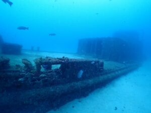 2025年12月30日白浜リサーチダイブ