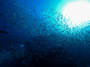 2026年 新年のご挨拶